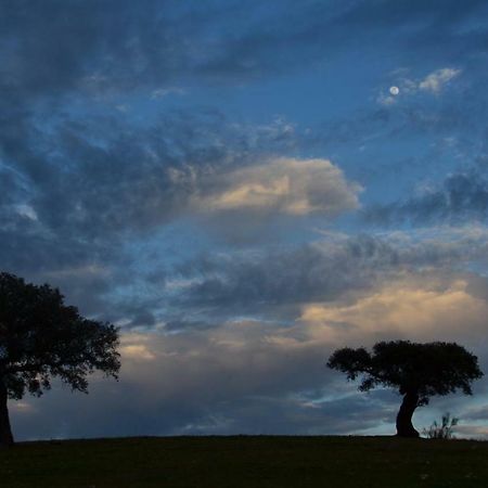 Santo Amador Casas Do Ardilaゲストハウス エクステリア 写真