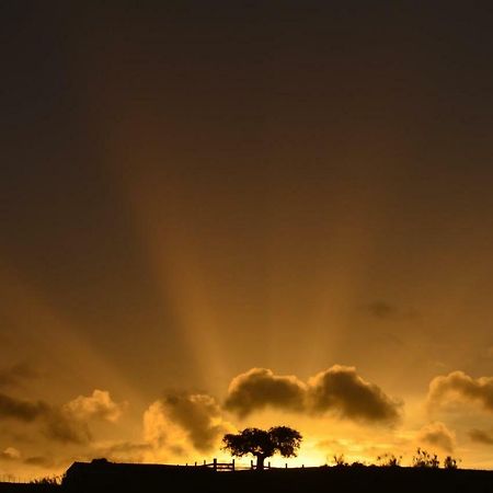 Santo Amador Casas Do Ardilaゲストハウス エクステリア 写真